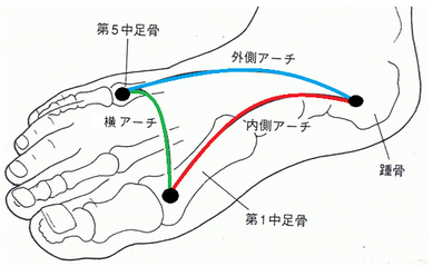 足のアーチ構造